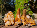 Natural Golden Limonite Spirit Quartz Crystal Clusters x 12 From Boekenhouthoek, South Africa - Toprock Gemstones and Minerals 