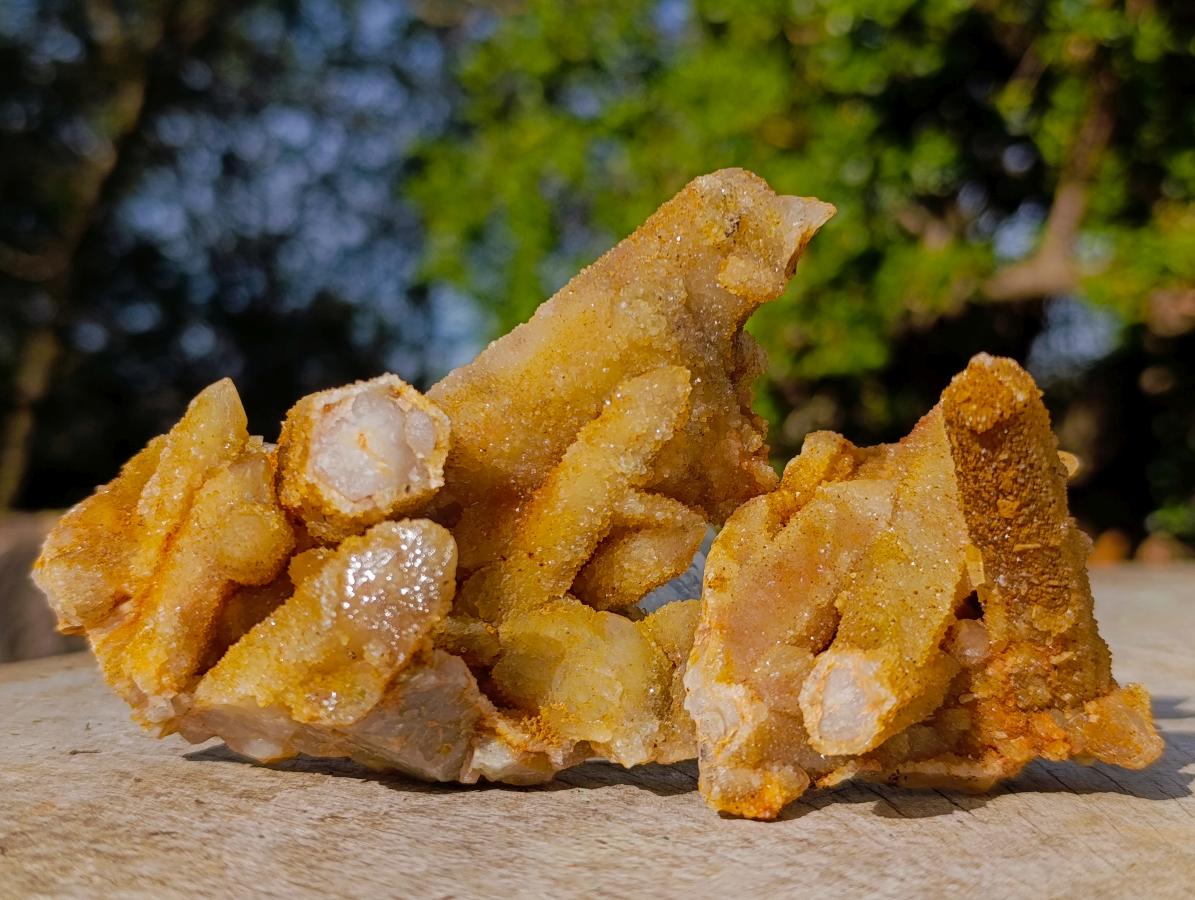Natural Golden Limonite Spirit Quartz Crystal Clusters x 12 From Boekenhouthoek, South Africa - Toprock Gemstones and Minerals 