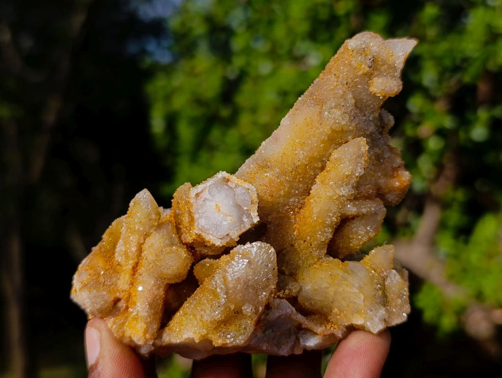 Natural Golden Limonite Spirit Quartz Crystal Clusters x 12 From Boekenhouthoek, South Africa - Toprock Gemstones and Minerals 