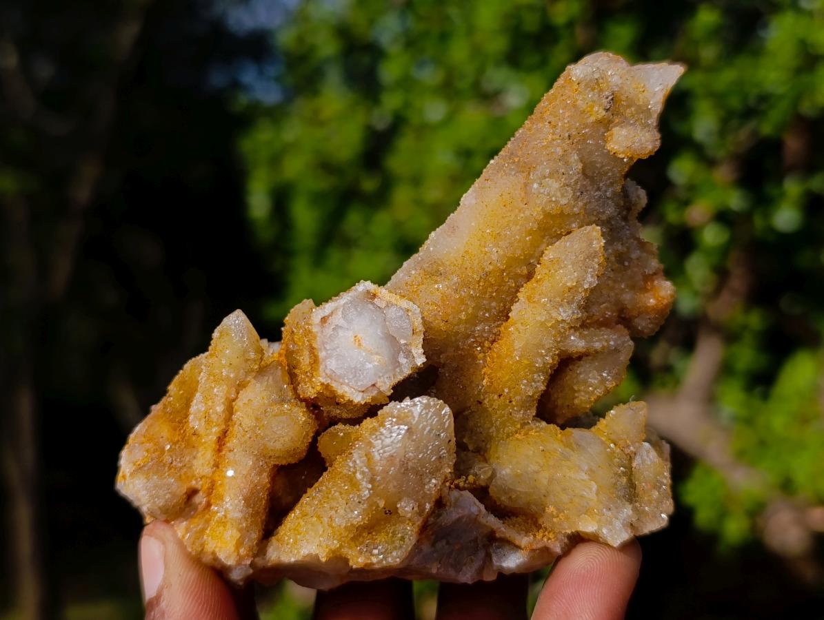 Natural Golden Limonite Spirit Quartz Crystal Clusters x 12 From Boekenhouthoek, South Africa - Toprock Gemstones and Minerals 