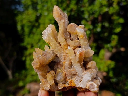 Natural Golden Limonite Spirit Quartz Crystal Clusters x 12 From Boekenhouthoek, South Africa - Toprock Gemstones and Minerals 