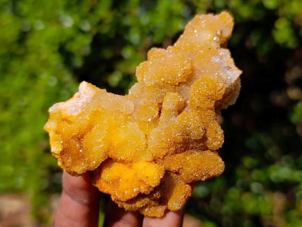 Natural Golden Limonite Spirit Quartz Crystal Clusters x 12 From Boekenhouthoek, South Africa - Toprock Gemstones and Minerals 
