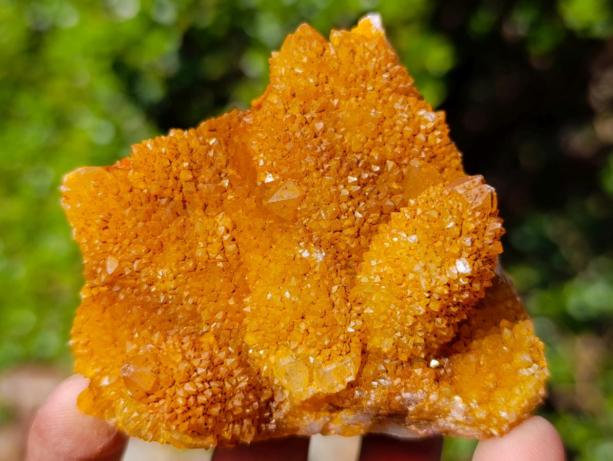 Natural Golden Limonite Spirit Quartz Crystal Clusters x 12 From Boekenhouthoek, South Africa - Toprock Gemstones and Minerals 