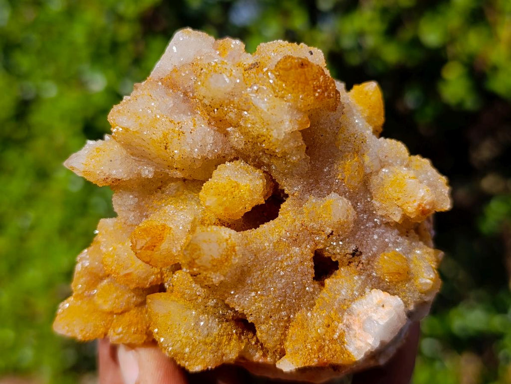 Natural Golden Limonite Spirit Quartz Crystal Clusters x 12 From Boekenhouthoek, South Africa - Toprock Gemstones and Minerals 
