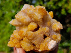 Natural Golden Limonite Spirit Quartz Crystal Clusters x 12 From Boekenhouthoek, South Africa - Toprock Gemstones and Minerals 