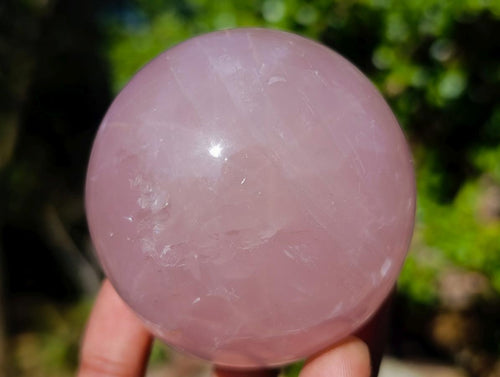 Polished Gemmy Star Rose Quartz Spheres x 3 From Madagascar - Toprock Gemstones and Minerals 