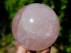 Polished Gemmy Star Rose Quartz Spheres x 3 From Madagascar - Toprock Gemstones and Minerals 