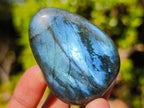 Polished Labradorite Palm Stones x 20 From Madagascar - Toprock Gemstones and Minerals 