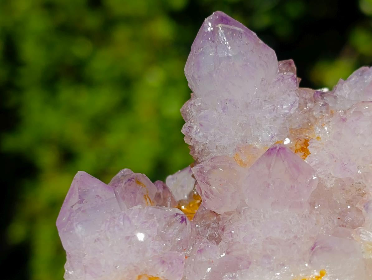 Natural Spirit Ametrine Clusters x 4 From Boekenhouthoek, South Africa - Toprock Gemstones and Minerals 