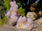 Natural Spirit Ametrine Clusters x 4 From Boekenhouthoek, South Africa - Toprock Gemstones and Minerals 