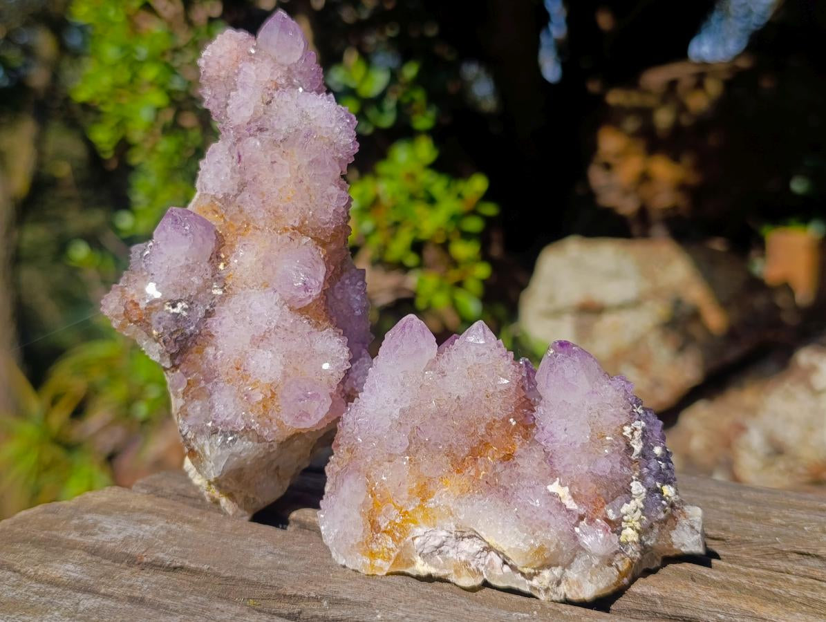 Natural Spirit Ametrine Clusters x 4 From Boekenhouthoek, South Africa - Toprock Gemstones and Minerals 