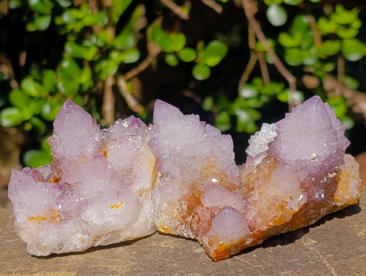 Natural Spirit Ametrine Clusters x 4 From Boekenhouthoek, South Africa - Toprock Gemstones and Minerals 