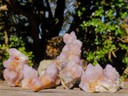 Natural Spirit Ametrine Clusters x 4 From Boekenhouthoek, South Africa - Toprock Gemstones and Minerals 