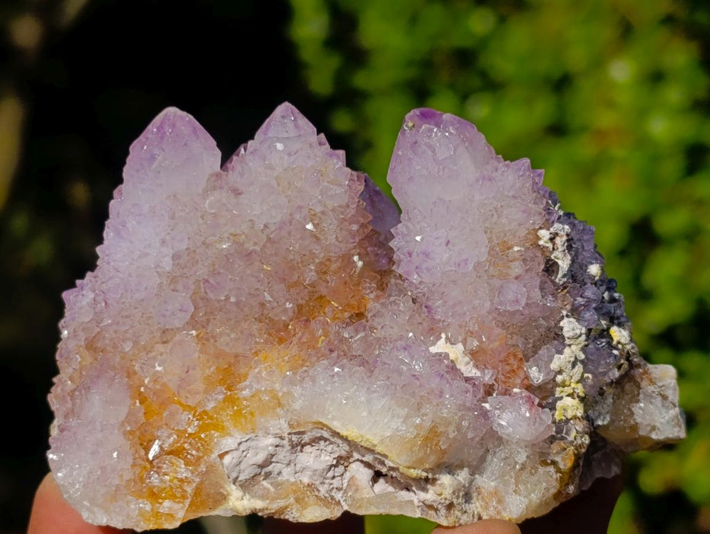 Natural Spirit Ametrine Clusters x 4 From Boekenhouthoek, South Africa - Toprock Gemstones and Minerals 