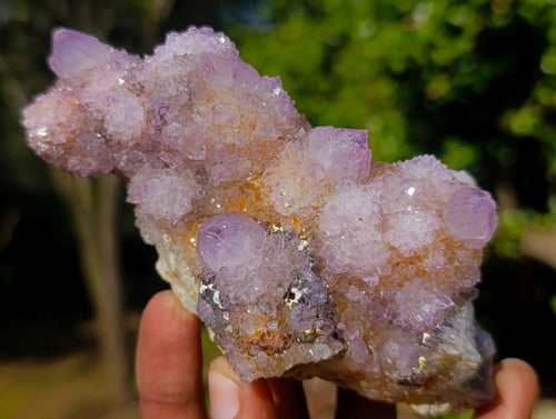 Natural Spirit Ametrine Clusters x 4 From Boekenhouthoek, South Africa - Toprock Gemstones and Minerals 