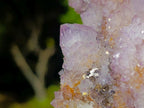 Natural Spirit Ametrine Clusters x 4 From Boekenhouthoek, South Africa - Toprock Gemstones and Minerals 