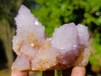 Natural Spirit Ametrine Clusters x 4 From Boekenhouthoek, South Africa - Toprock Gemstones and Minerals 