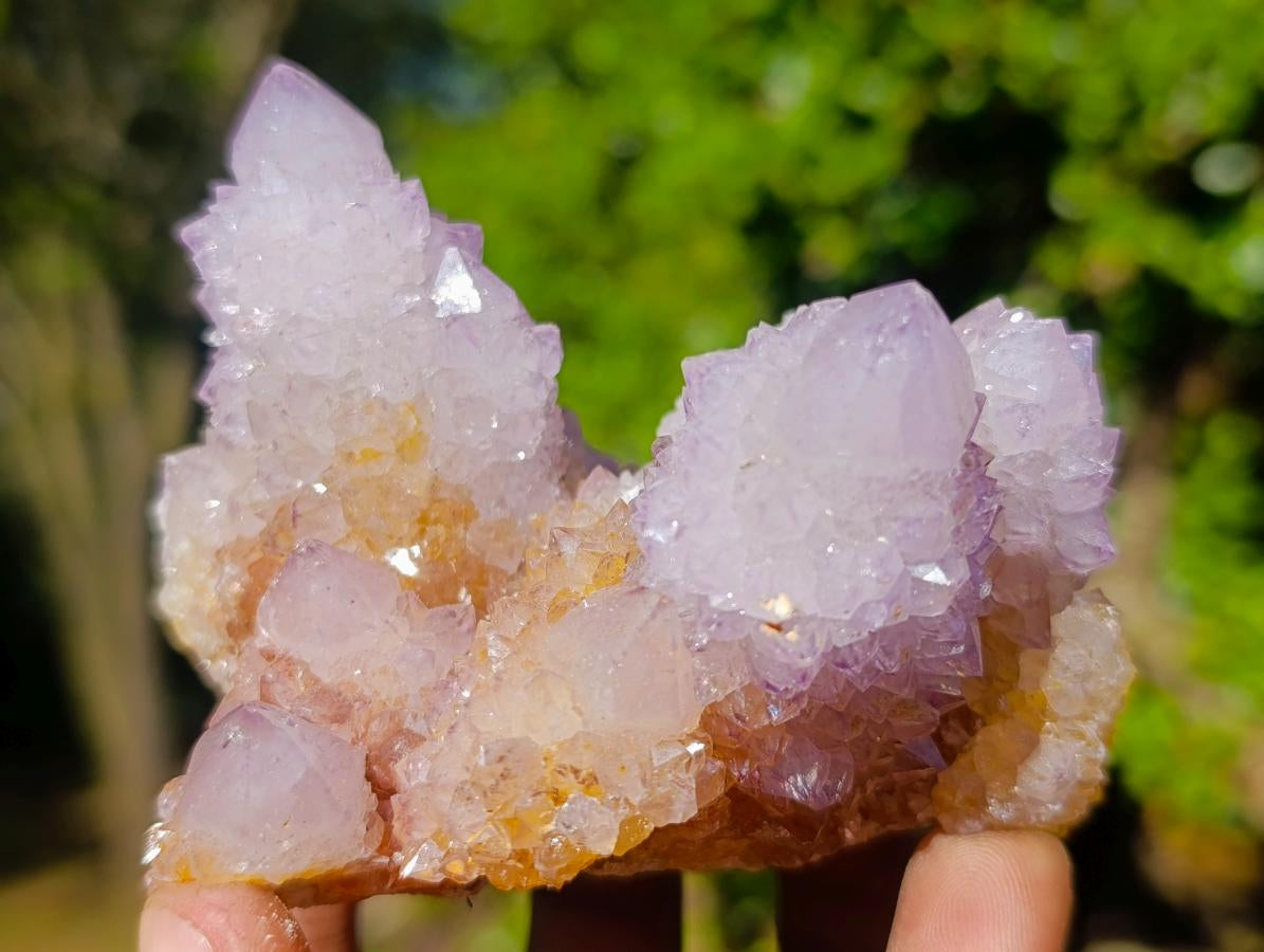 Natural Spirit Ametrine Clusters x 4 From Boekenhouthoek, South Africa - Toprock Gemstones and Minerals 