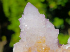 Natural Spirit Ametrine Clusters x 4 From Boekenhouthoek, South Africa - Toprock Gemstones and Minerals 