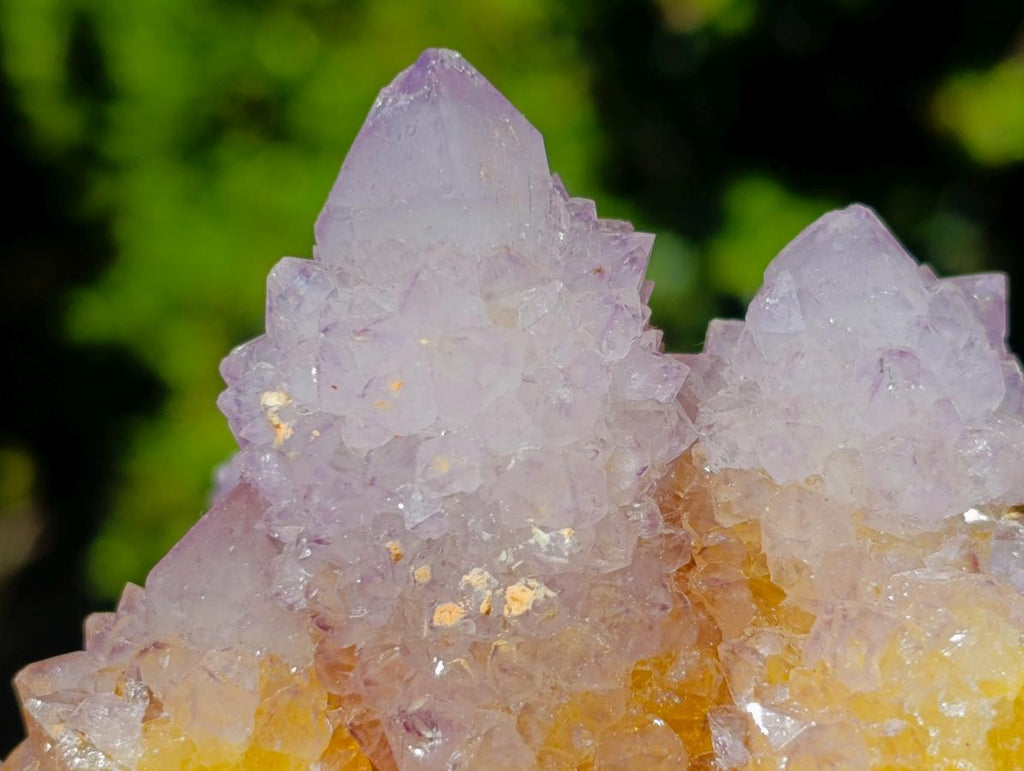 Natural Spirit Ametrine Clusters x 4 From Boekenhouthoek, South Africa - Toprock Gemstones and Minerals 