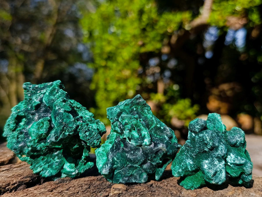 Natural Silky Malachite Specimens x 12 From Kasompe, Congo - Toprock Gemstones and Minerals 