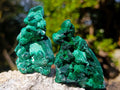 Natural Silky Malachite Specimens x 12 From Kasompe, Congo - Toprock Gemstones and Minerals 