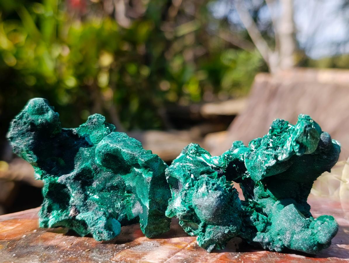 Natural Silky Malachite Specimens x 12 From Kasompe, Congo - Toprock Gemstones and Minerals 