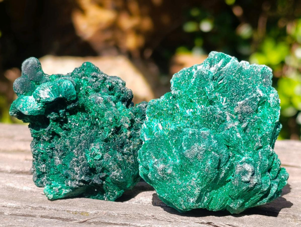 Natural Silky Malachite Specimens x 12 From Kasompe, Congo - Toprock Gemstones and Minerals 