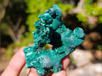 Natural Silky Malachite Specimens x 12 From Kasompe, Congo - Toprock Gemstones and Minerals 