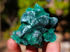 Natural Silky Malachite Specimens x 12 From Kasompe, Congo - Toprock Gemstones and Minerals 