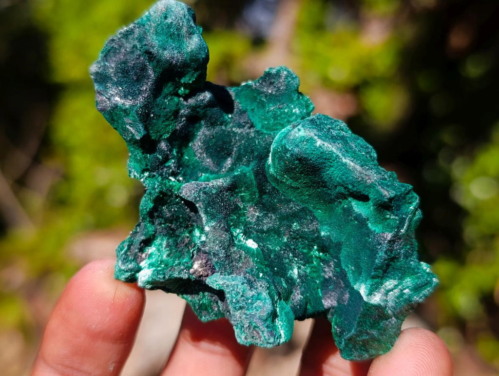Natural Silky Malachite Specimens x 12 From Kasompe, Congo - Toprock Gemstones and Minerals 