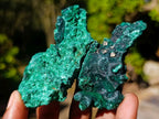Natural Silky Malachite Specimens x 12 From Kasompe, Congo - Toprock Gemstones and Minerals 