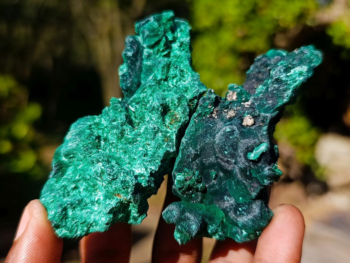 Natural Silky Malachite Specimens x 12 From Kasompe, Congo - Toprock Gemstones and Minerals 