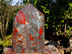 Polished XL Bloodstone Display Crystal Point x 1 From Swaziland - Toprock Gemstones and Minerals 