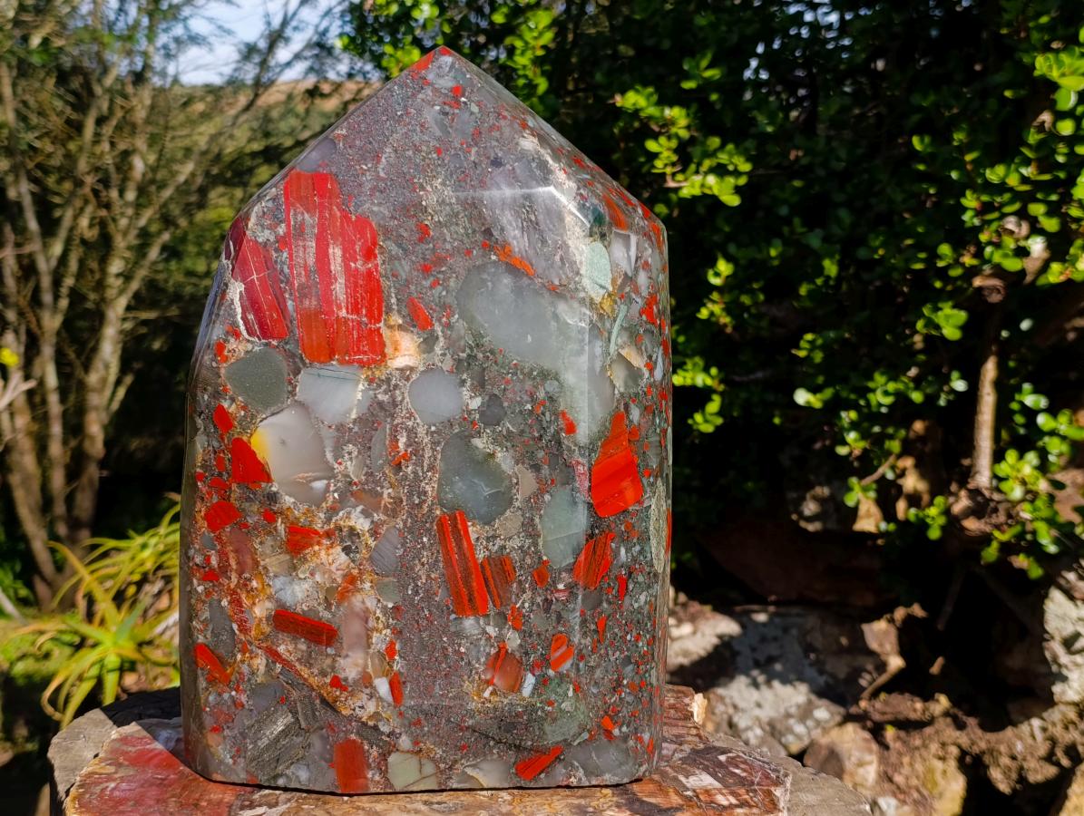 Polished XL Bloodstone Display Crystal Point x 1 From Swaziland - Toprock Gemstones and Minerals 