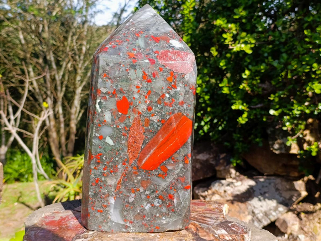 Polished XL Bloodstone Display Crystal Point x 1 From Swaziland - Toprock Gemstones and Minerals 