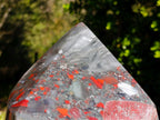 Polished XL Bloodstone Display Crystal Point x 1 From Swaziland - Toprock Gemstones and Minerals 