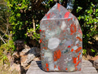 Polished XL Bloodstone Display Crystal Point x 1 From Swaziland - Toprock Gemstones and Minerals 