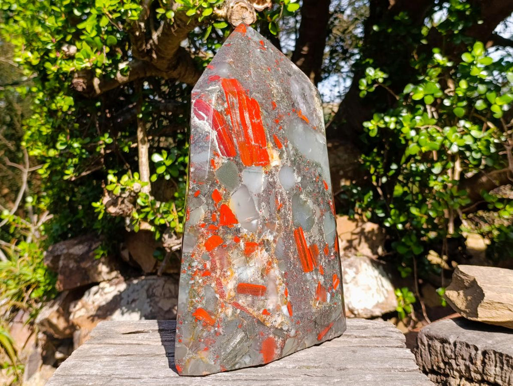Polished XL Bloodstone Display Crystal Point x 1 From Swaziland - Toprock Gemstones and Minerals 