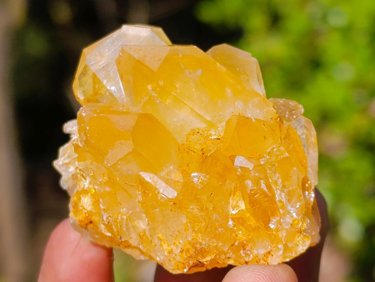 Natural Golden Limonite Quartz Clusters x 24 From Solwezi, Zambia - Toprock Gemstones and Minerals 