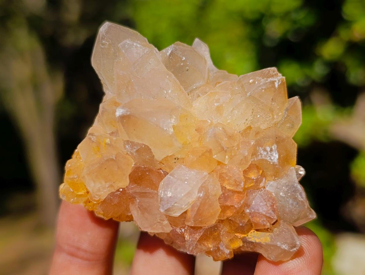 Natural Golden Limonite Quartz Clusters x 24 From Solwezi, Zambia - Toprock Gemstones and Minerals 