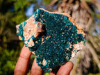 Natural Cabinet Dioptase on Dolomite Specimens x 2 From Likasi, Congo - Toprock Gemstones and Minerals 