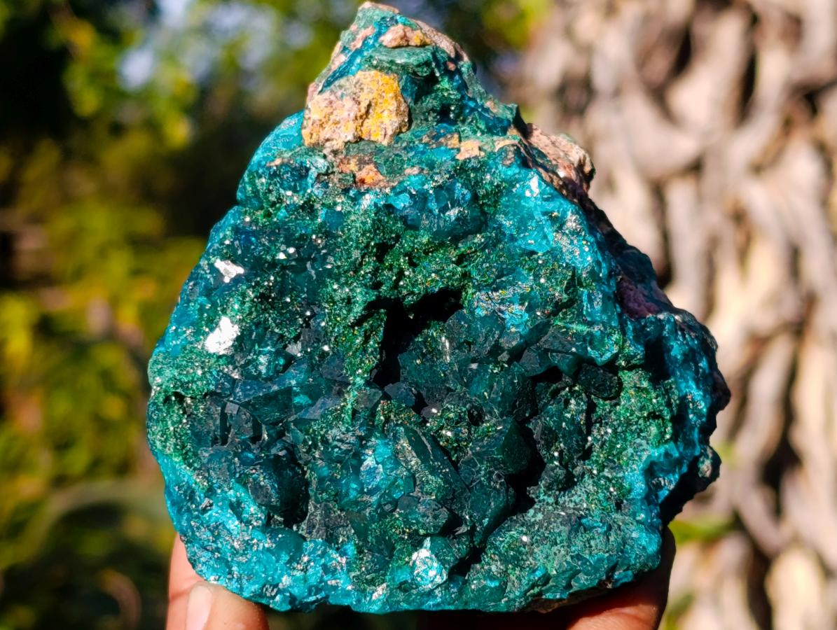 Natural Cabinet Dioptase on Dolomite Specimens x 2 From Likasi, Congo - Toprock Gemstones and Minerals 