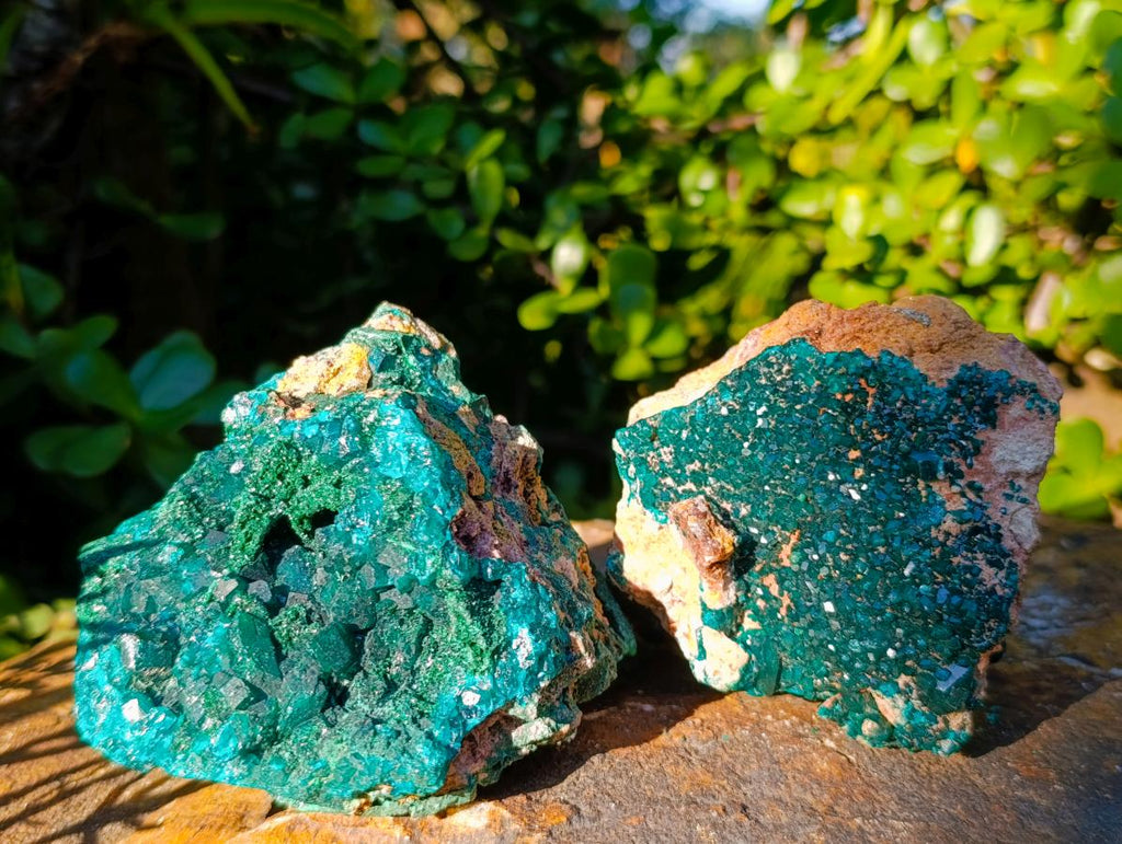 Natural Cabinet Dioptase on Dolomite Specimens x 2 From Likasi, Congo - Toprock Gemstones and Minerals 