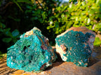 Natural Cabinet Dioptase on Dolomite Specimens x 2 From Likasi, Congo - Toprock Gemstones and Minerals 
