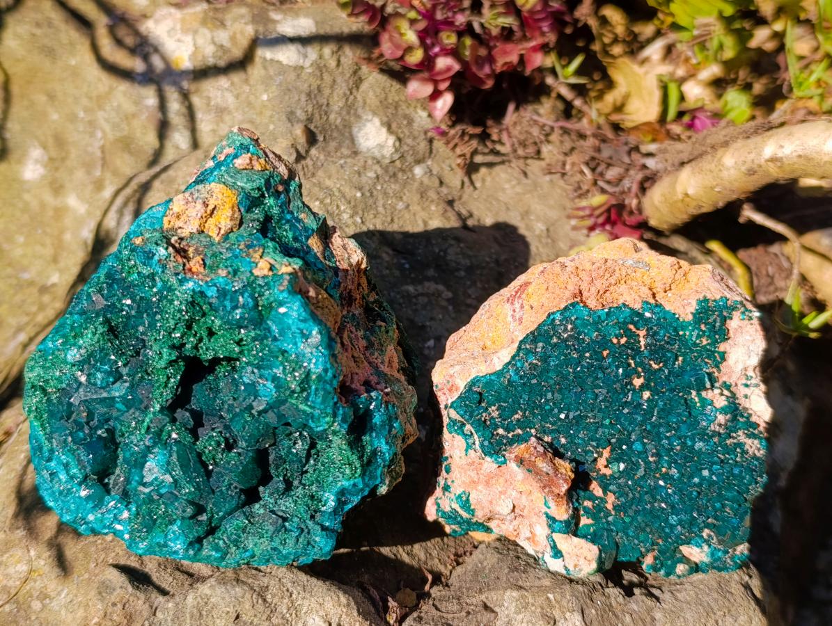 Natural Cabinet Dioptase on Dolomite Specimens x 2 From Likasi, Congo - Toprock Gemstones and Minerals 