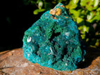 Natural Cabinet Dioptase on Dolomite Specimens x 2 From Likasi, Congo - Toprock Gemstones and Minerals 