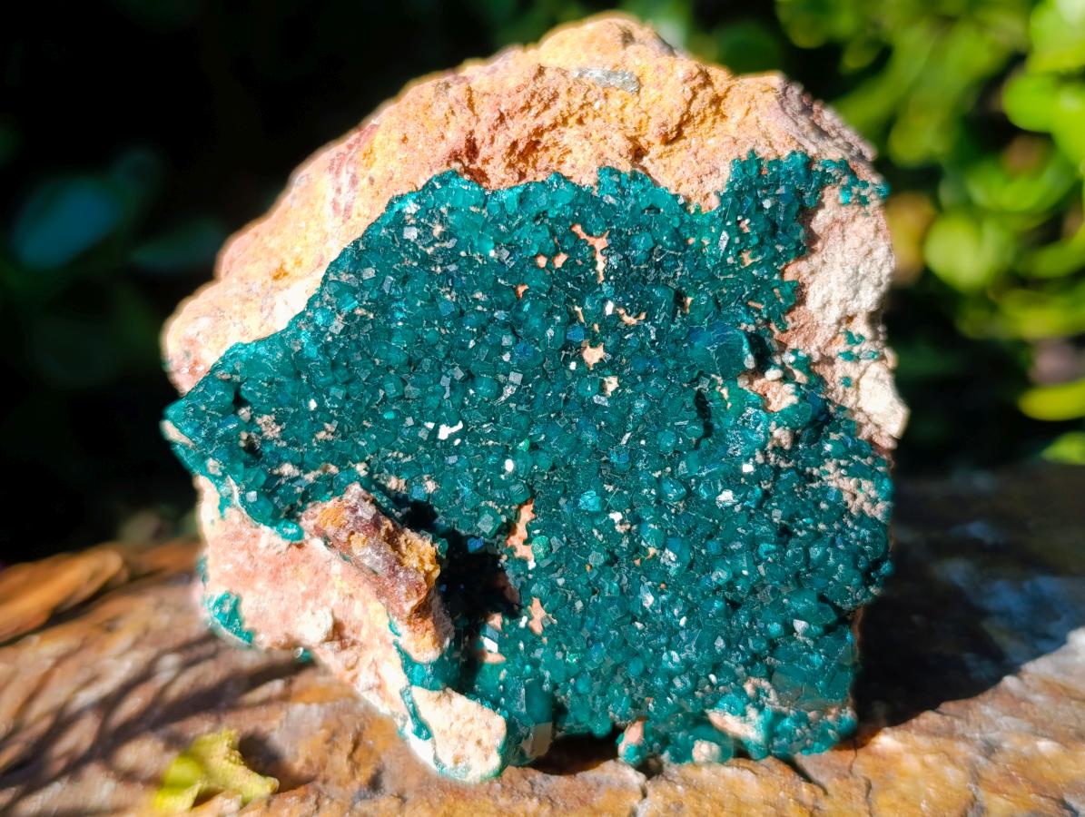 Natural Cabinet Dioptase on Dolomite Specimens x 2 From Likasi, Congo - Toprock Gemstones and Minerals 