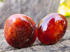 Polished Carnelian Agate Gemstone Galets x 14 From Madagascar - Toprock Gemstones and Minerals 