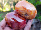Polished Carnelian Agate Gemstone Galets x 14 From Madagascar - Toprock Gemstones and Minerals 